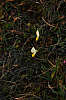 25.04.2013 19:46:37
Kuhschellen
Garchinger Umland
Garching
Galerie