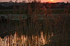 25.04.2013 20:09:24
Kuhschellen
Garchinger Umland
Garching
Galerie
