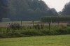 10.09.2014 15:47:20
Der Habichtweg bei Eicherloh
Garchinger Umland
Garching
Galerie