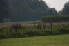 10.09.2014 15:48:18
Der Habichtweg bei Eicherloh
Garchinger Umland
Garching
Galerie