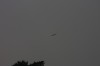 10.09.2014 15:51:30
Der Habichtweg bei Eicherloh
Garchinger Umland
Garching
Galerie