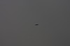 10.09.2014 15:51:31
Der Habichtweg bei Eicherloh
Garchinger Umland
Garching
Galerie