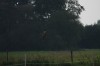 10.09.2014 15:55:05
Der Habichtweg bei Eicherloh
Garchinger Umland
Garching
Galerie
