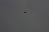 10.09.2014 15:56:51
Der Habichtweg bei Eicherloh
Garchinger Umland
Garching
Galerie