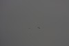 10.09.2014 15:58:05
Der Habichtweg bei Eicherloh
Garchinger Umland
Garching
Galerie