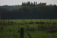 10.09.2014 15:54:15
Der Habichtweg bei Eicherloh
Garchinger Umland
Garching
Galerie